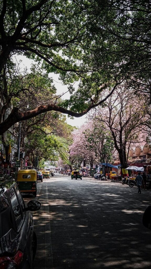 Mumbai to Nashik